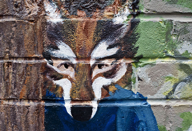 wolf mask